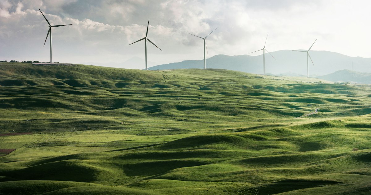 Hilera de aerogeneradores modernos en un campo bajo cielo azul, representando infraestructura de energía renovable